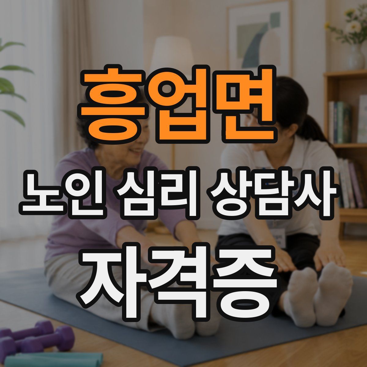 흥업면 노인 심리 상담사 자격증