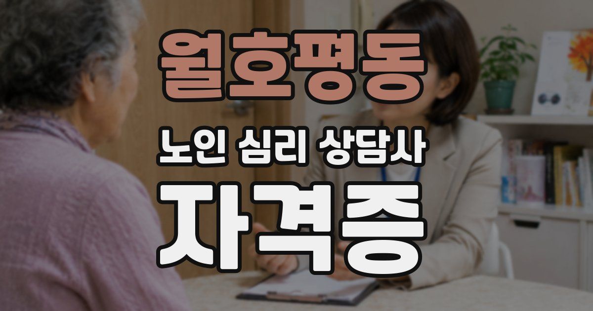 월호평동 노인 심리 상담사 자격증