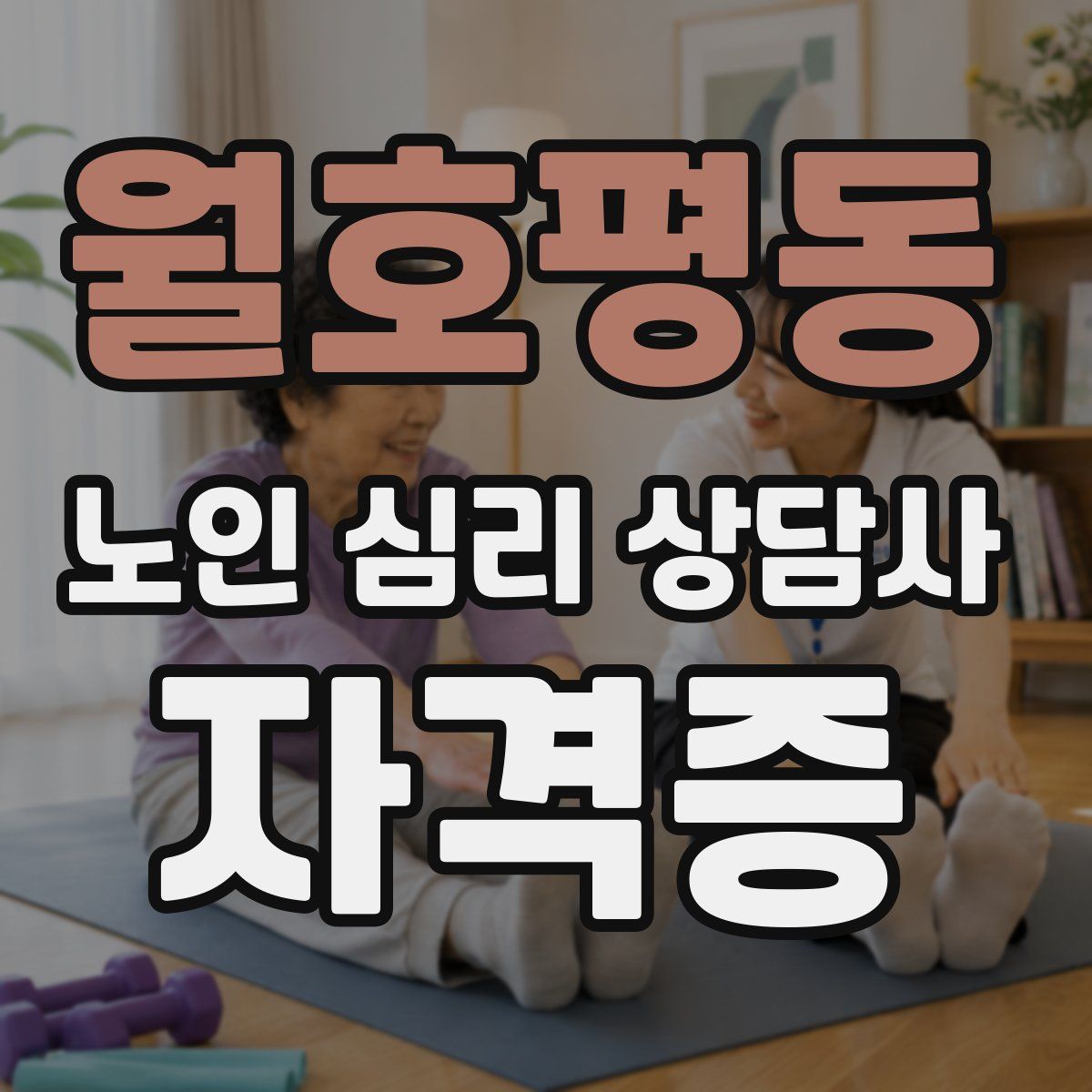 월호평동 노인 심리 상담사 자격증