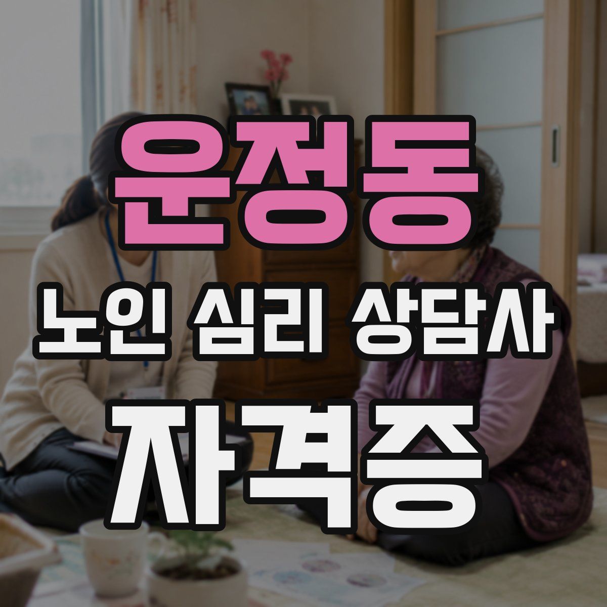 운정동 노인 심리 상담사 자격증