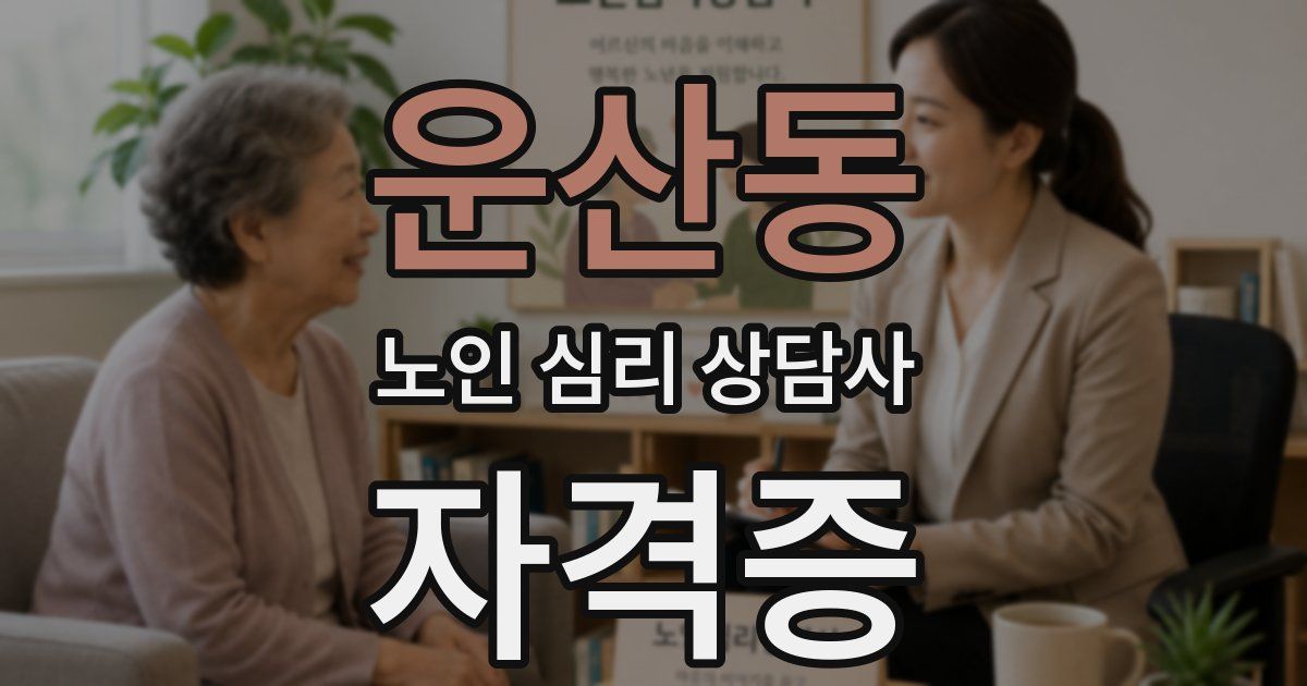 운산동 노인 심리 상담사 자격증