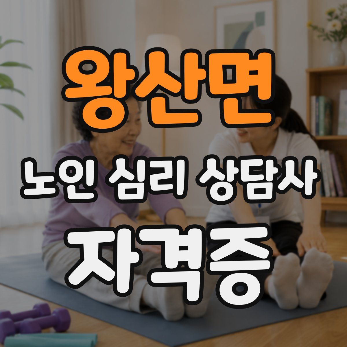 왕산면 노인 심리 상담사 자격증