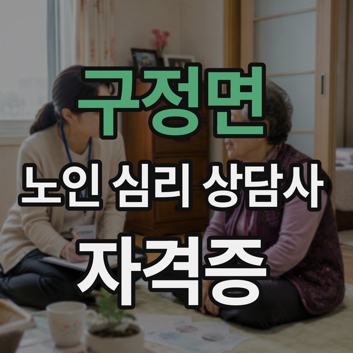 구정면 노인 심리 상담사 자격증