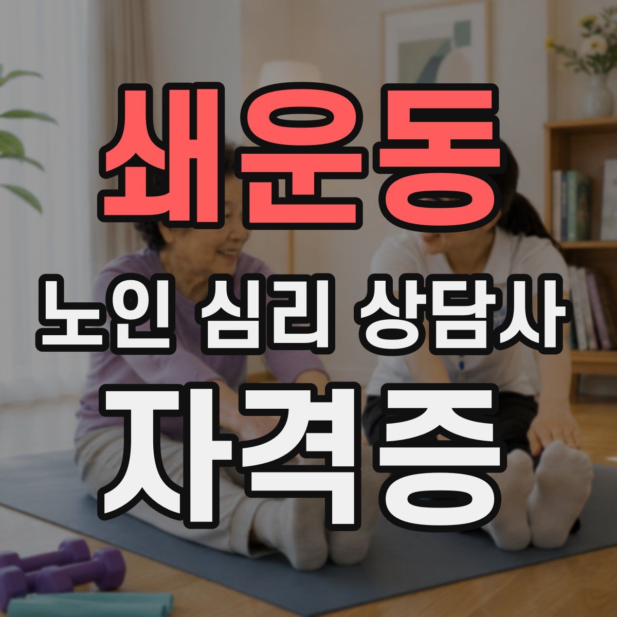 쇄운동 노인 심리 상담사 자격증
