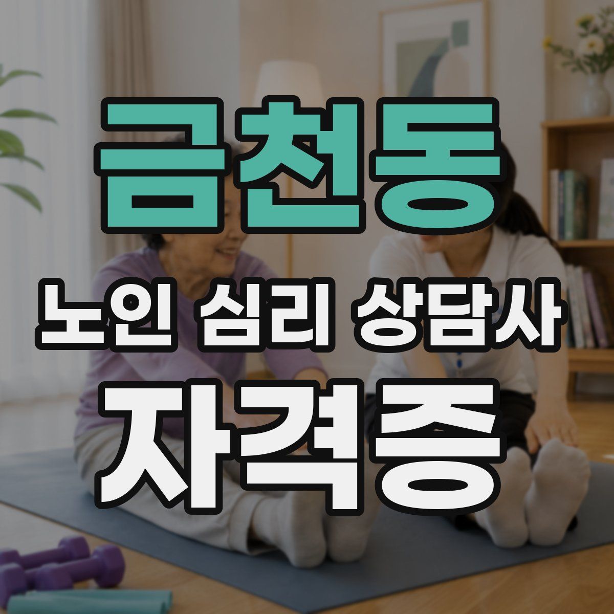 금천동 노인 심리 상담사 자격증