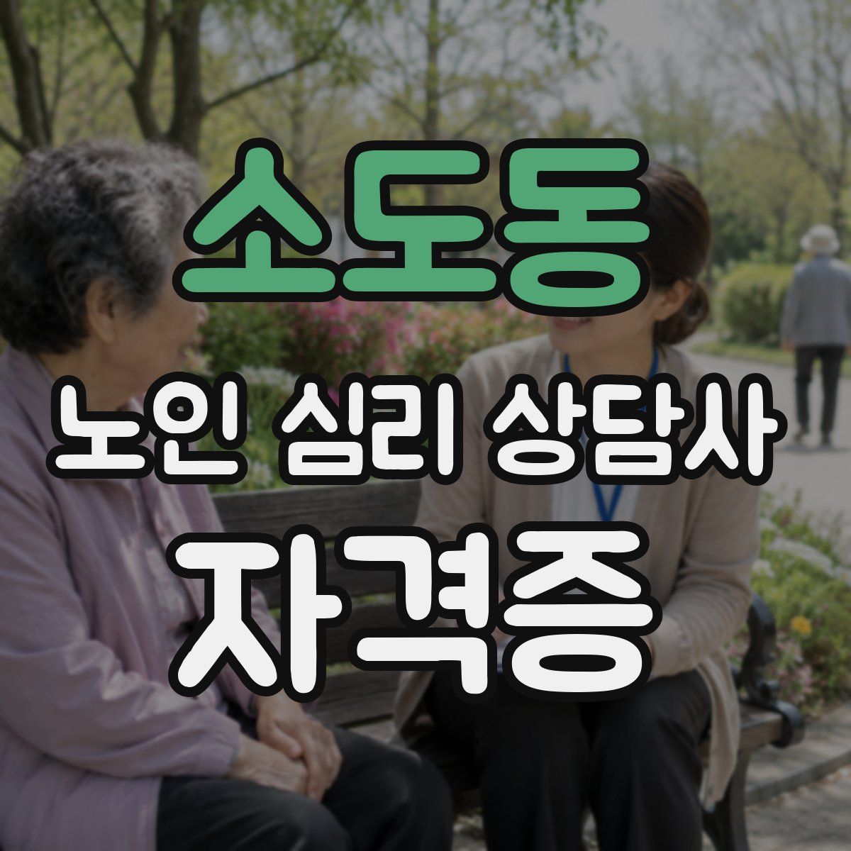 소도동 노인 심리 상담사 자격증