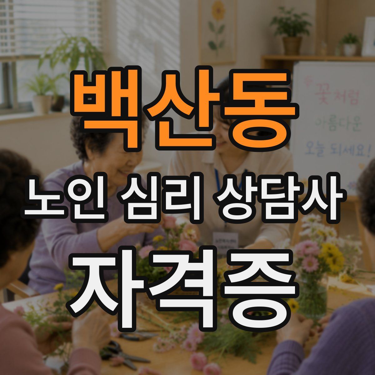 백산동 노인 심리 상담사 자격증