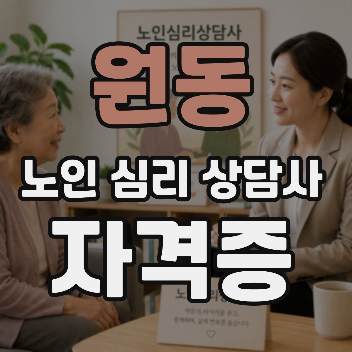 원동 노인 심리 상담사 자격증