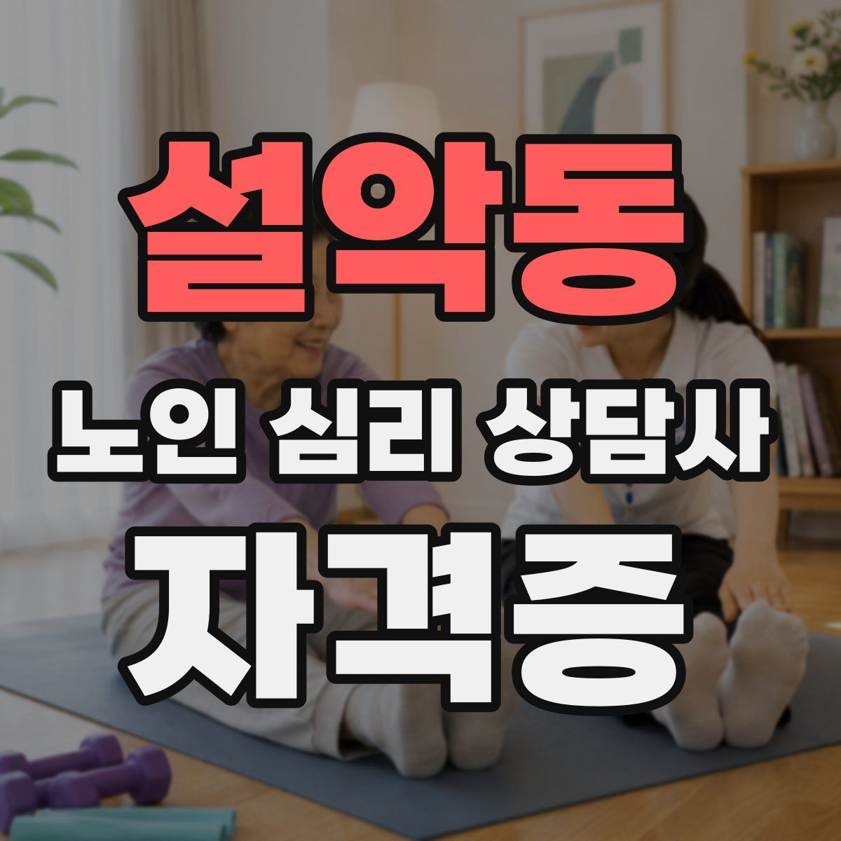 설악동 노인 심리 상담사 자격증