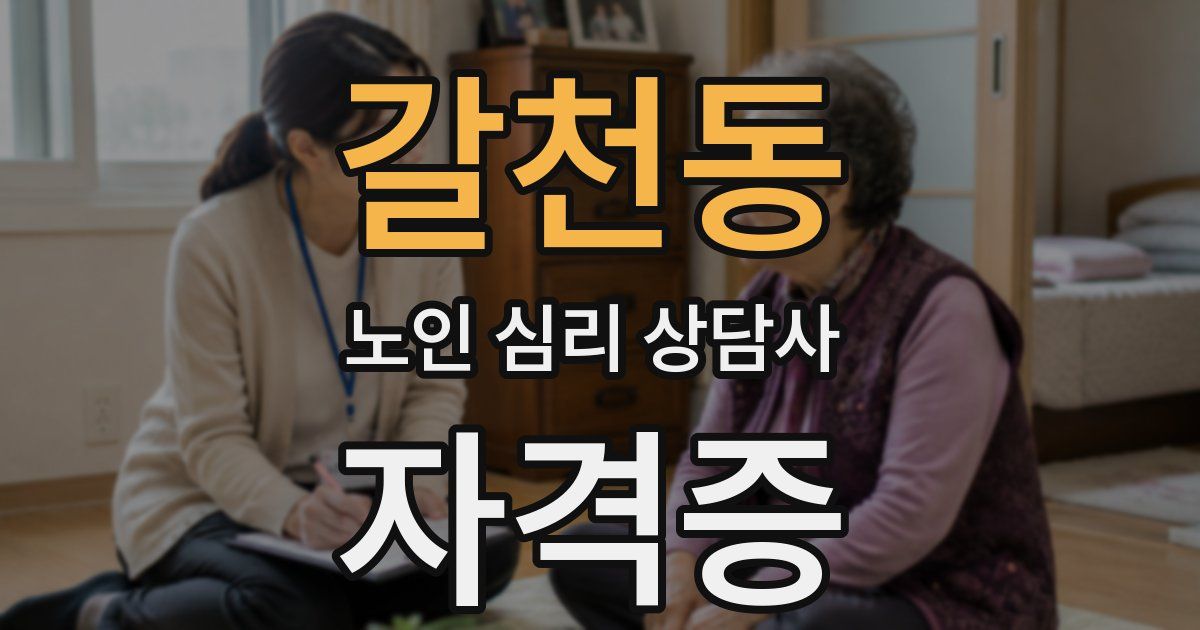갈천동 노인 심리 상담사 자격증