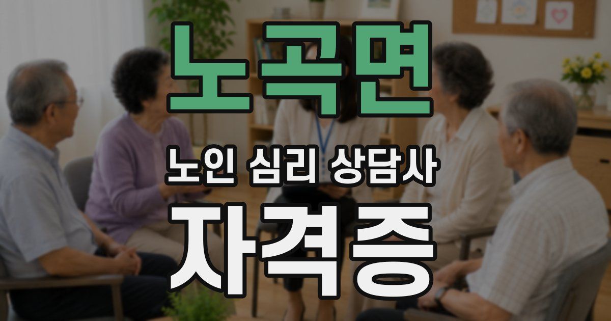 노곡면 노인 심리 상담사 자격증