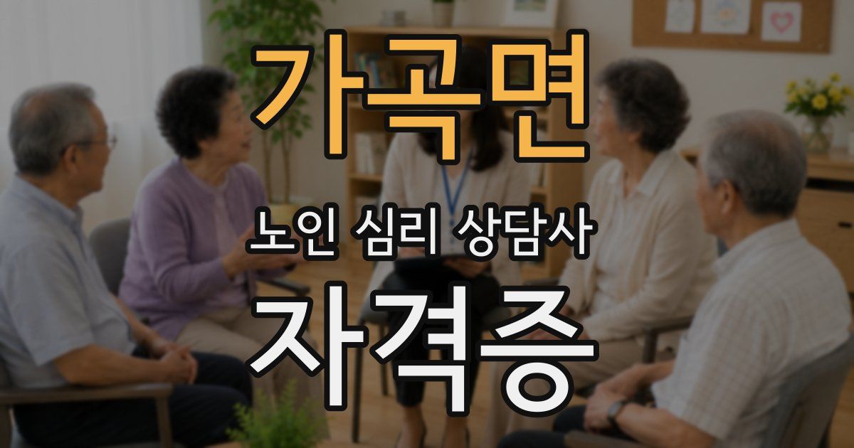 가곡면 노인 심리 상담사 자격증
