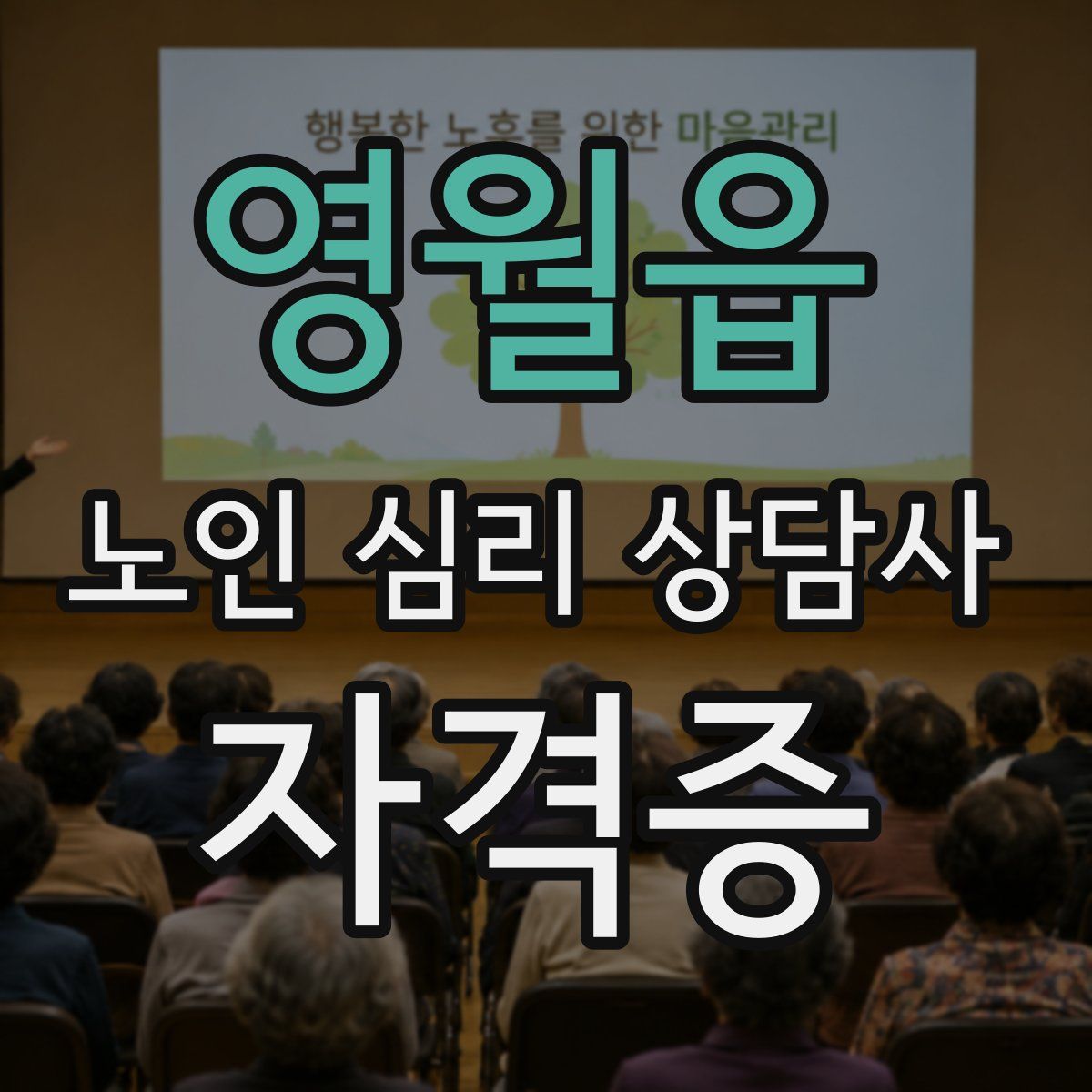 영월읍 노인 심리 상담사 자격증