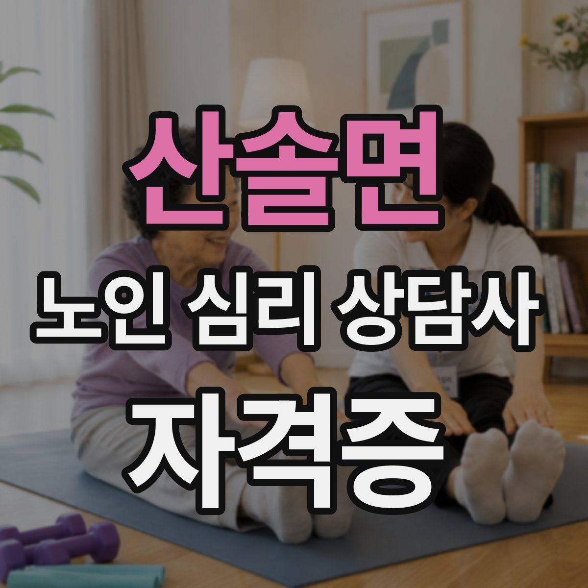 산솔면 노인 심리 상담사 자격증