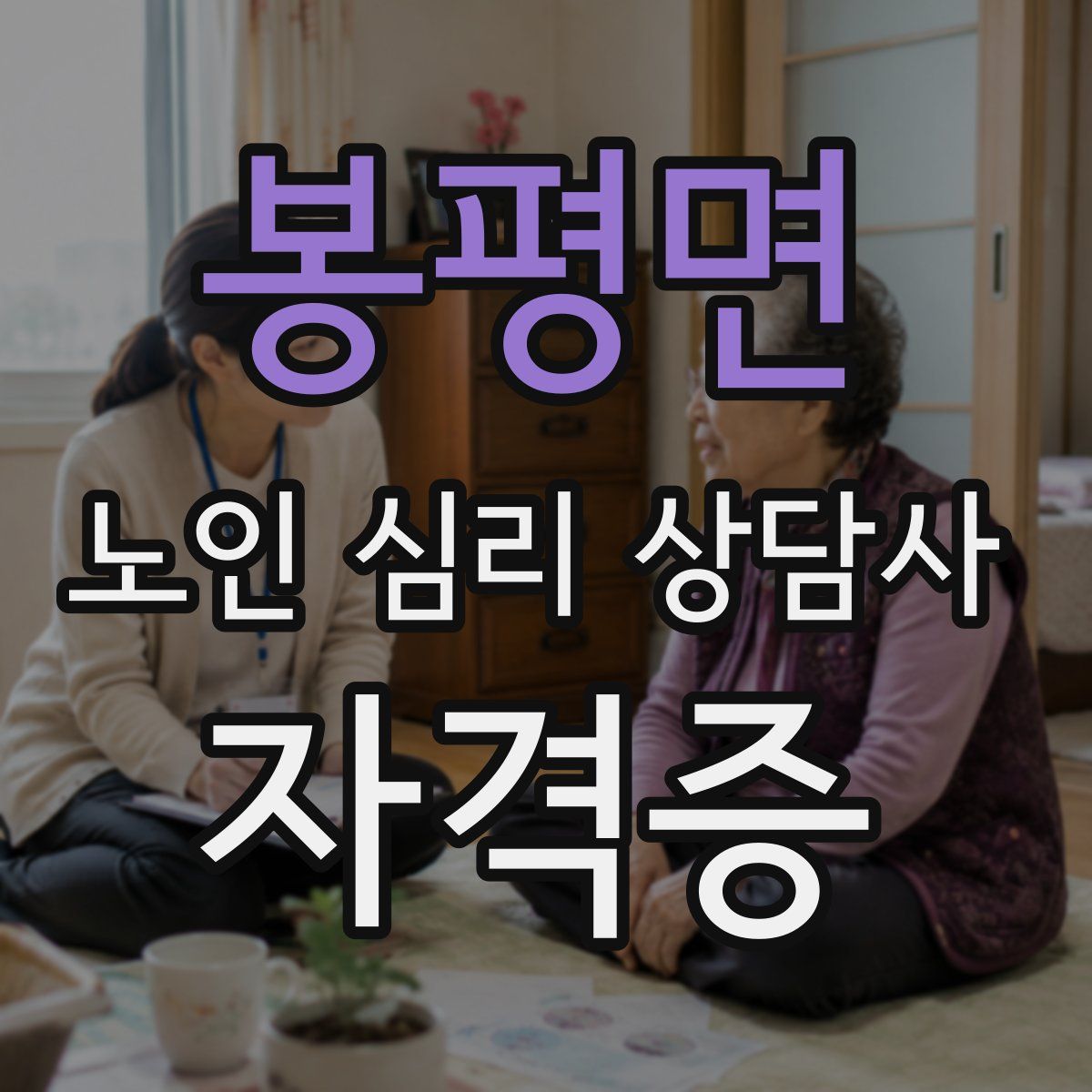 봉평면 노인 심리 상담사 자격증