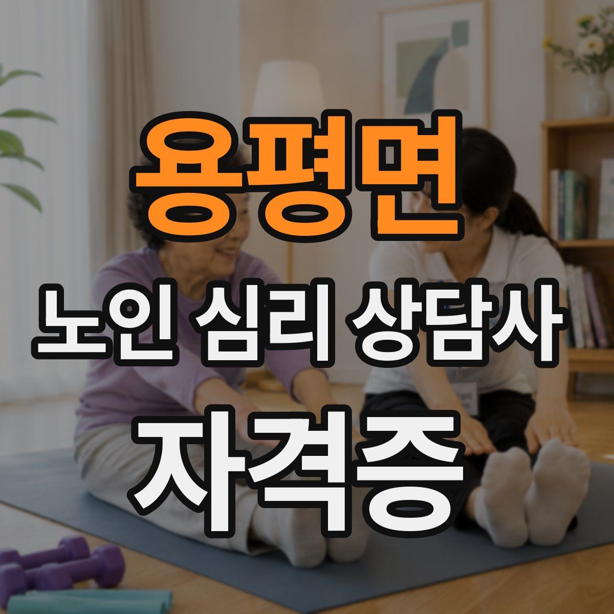 용평면 노인 심리 상담사 자격증