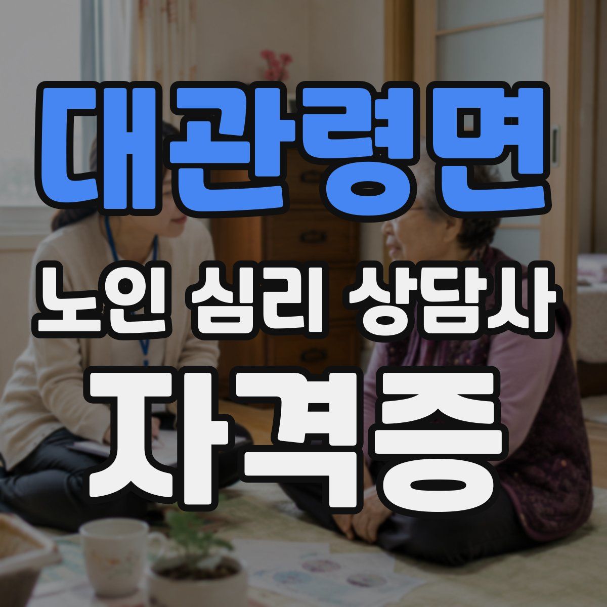 대관령면 노인 심리 상담사 자격증