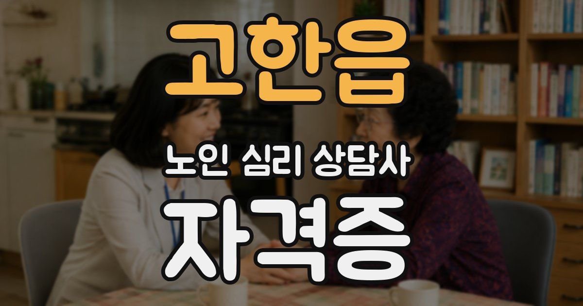 고한읍 노인 심리 상담사 자격증