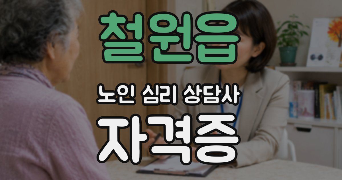 철원읍 노인 심리 상담사 자격증