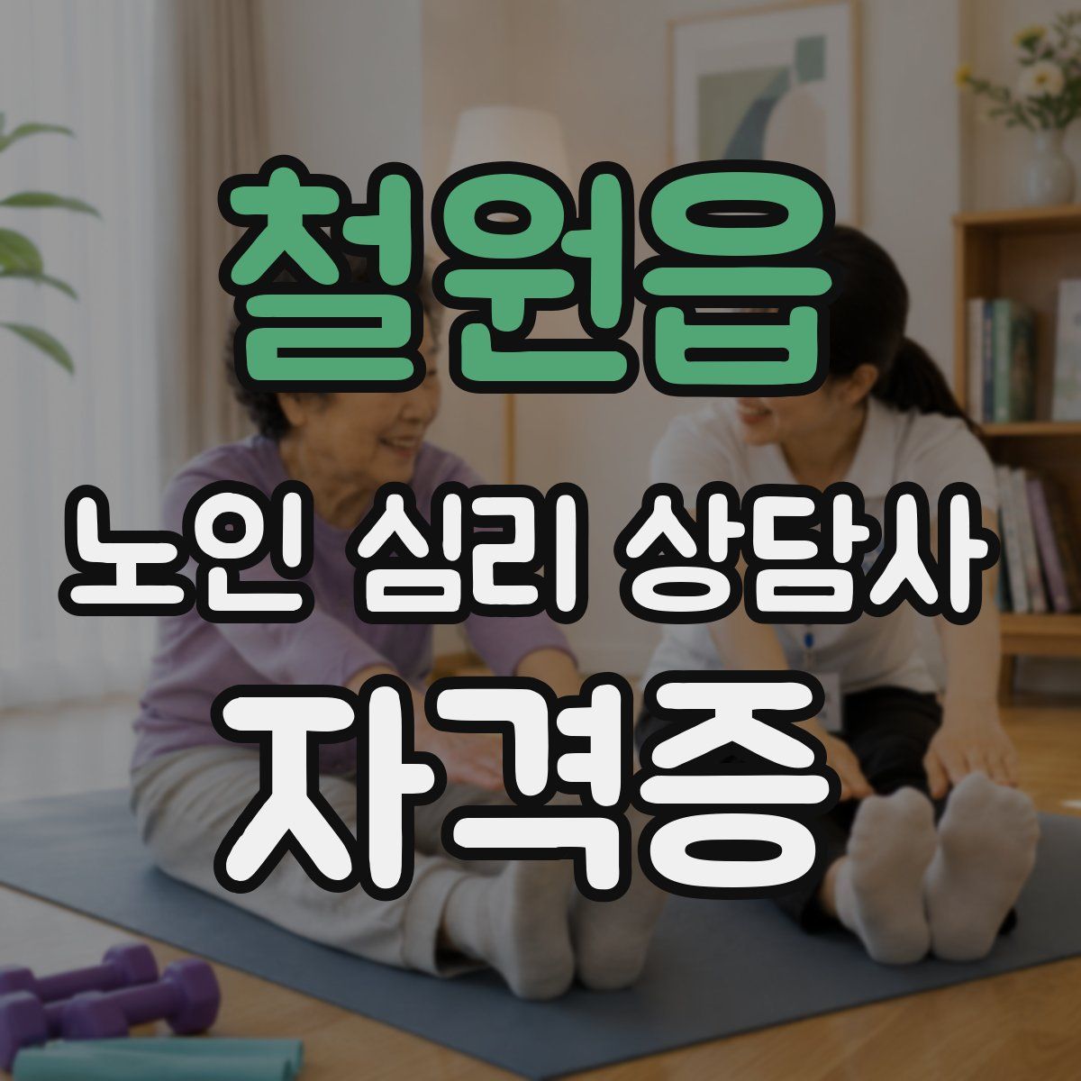 철원읍 노인 심리 상담사 자격증