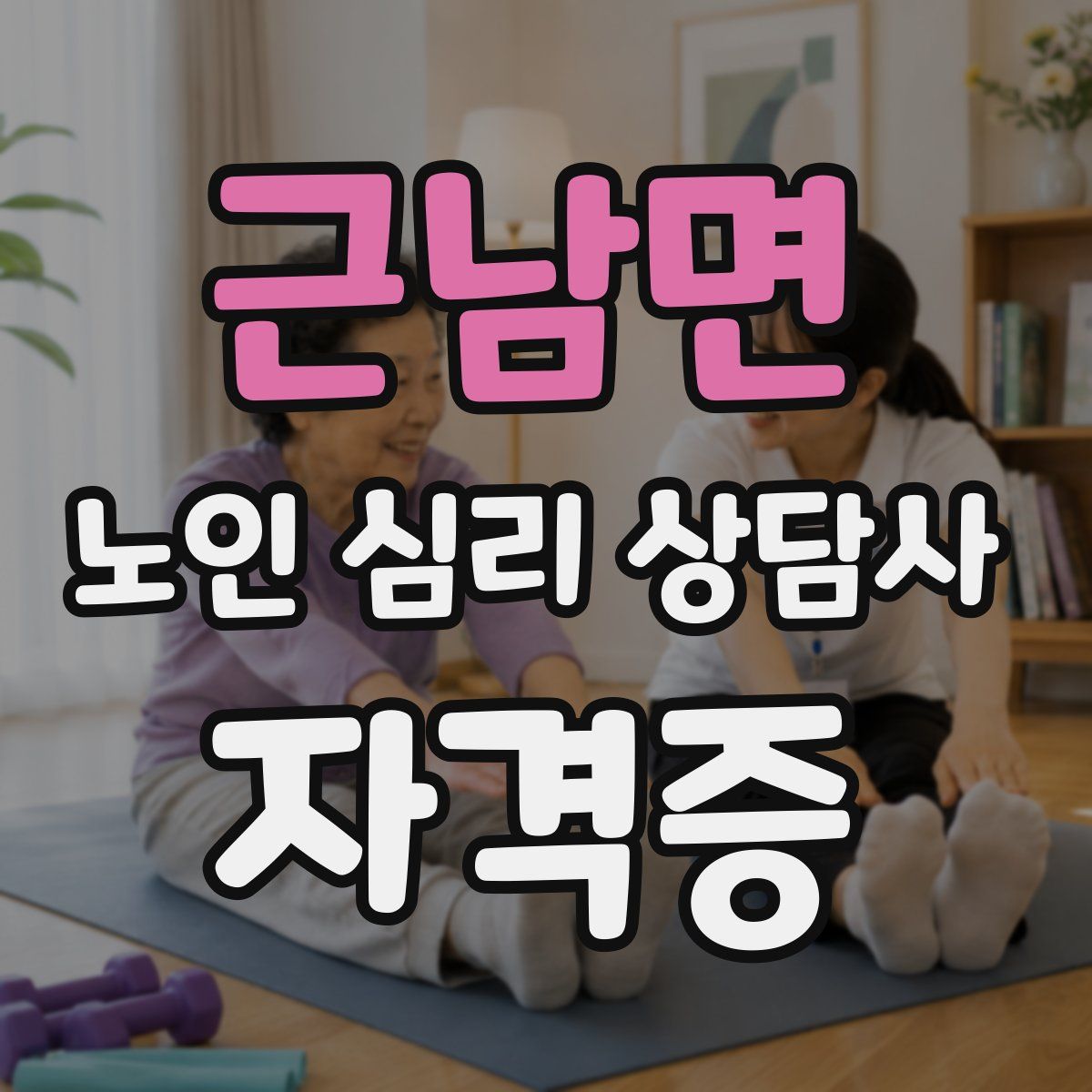 근남면 노인 심리 상담사 자격증