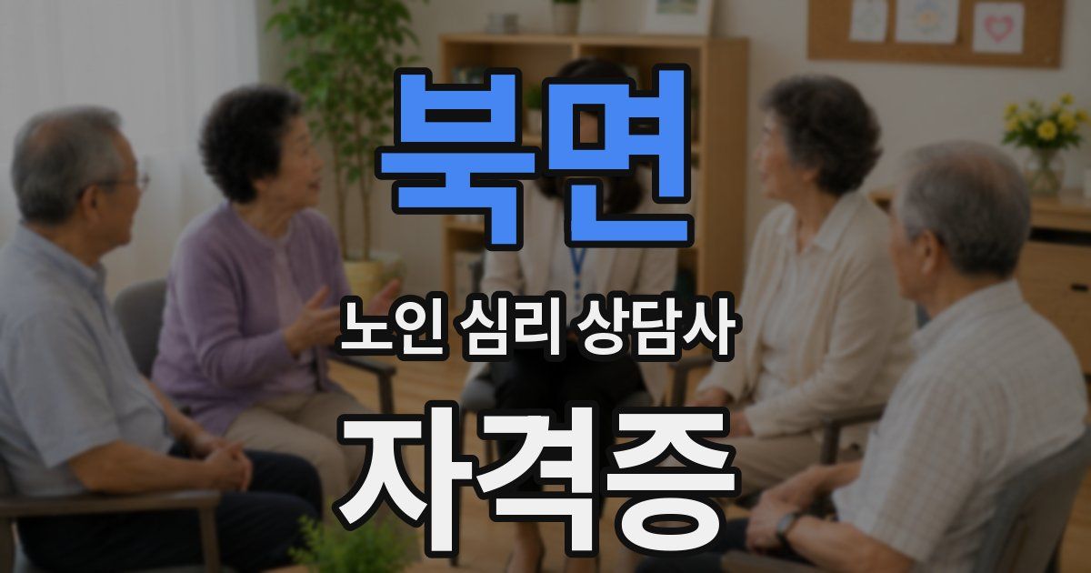 북면 노인 심리 상담사 자격증