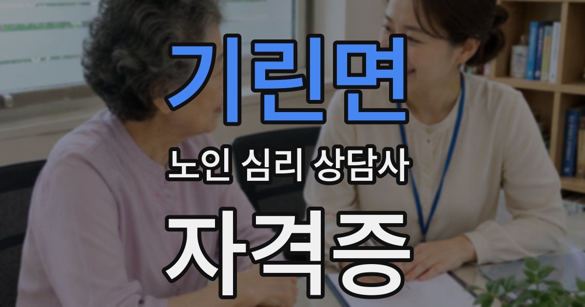 기린면 노인 심리 상담사 자격증