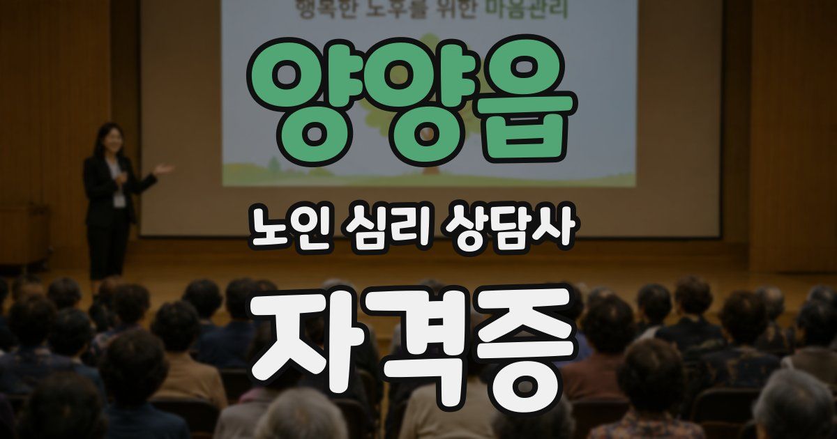 양양읍 노인 심리 상담사 자격증