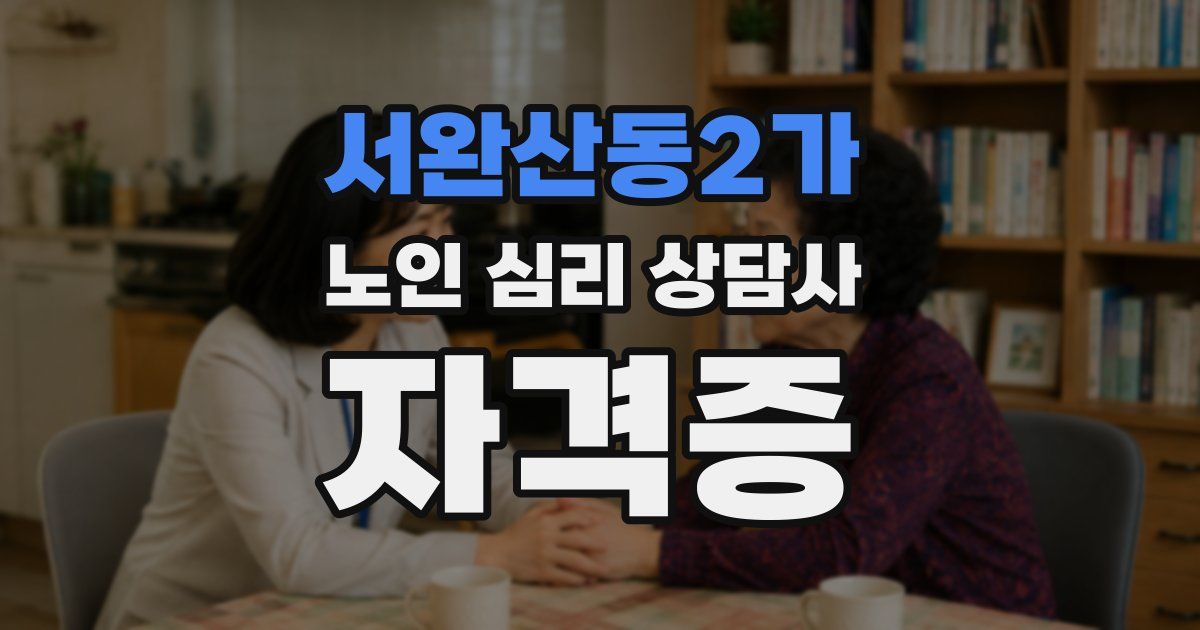 서완산동2가 노인 심리 상담사 자격증