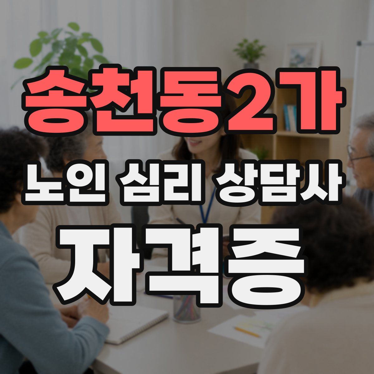 송천동2가 노인 심리 상담사 자격증