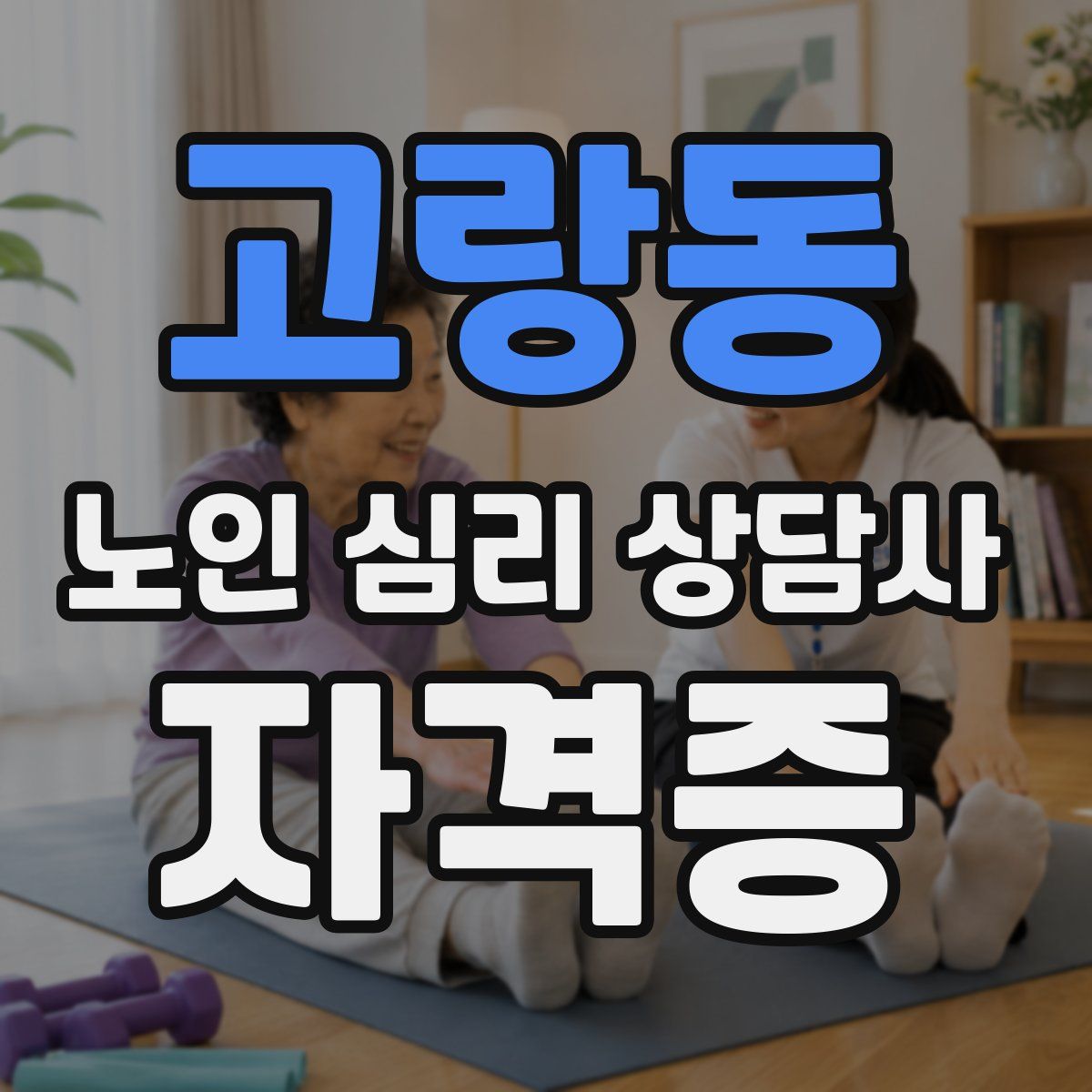 고랑동 노인 심리 상담사 자격증