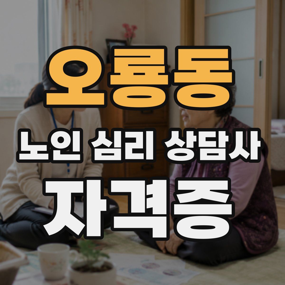 오룡동 노인 심리 상담사 자격증
