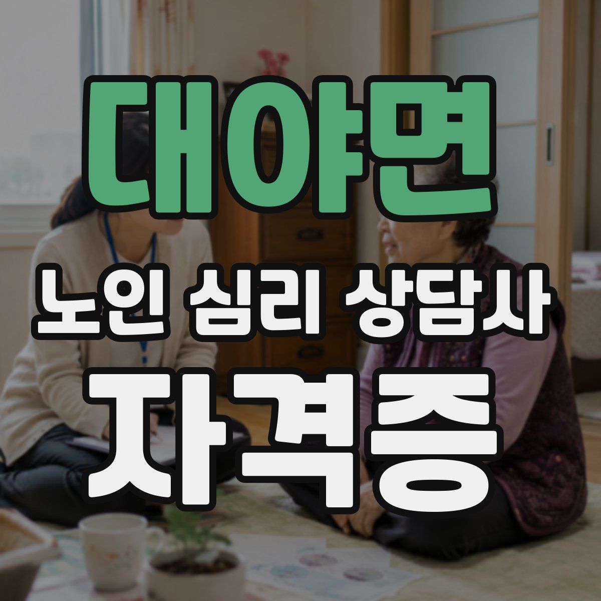 대야면 노인 심리 상담사 자격증
