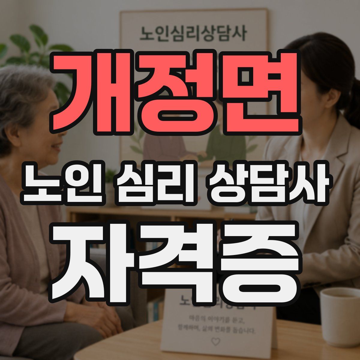 개정면 노인 심리 상담사 자격증