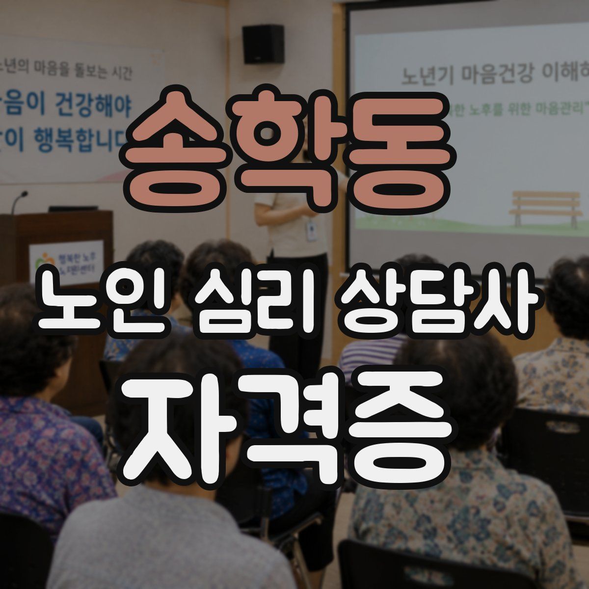 송학동 노인 심리 상담사 자격증