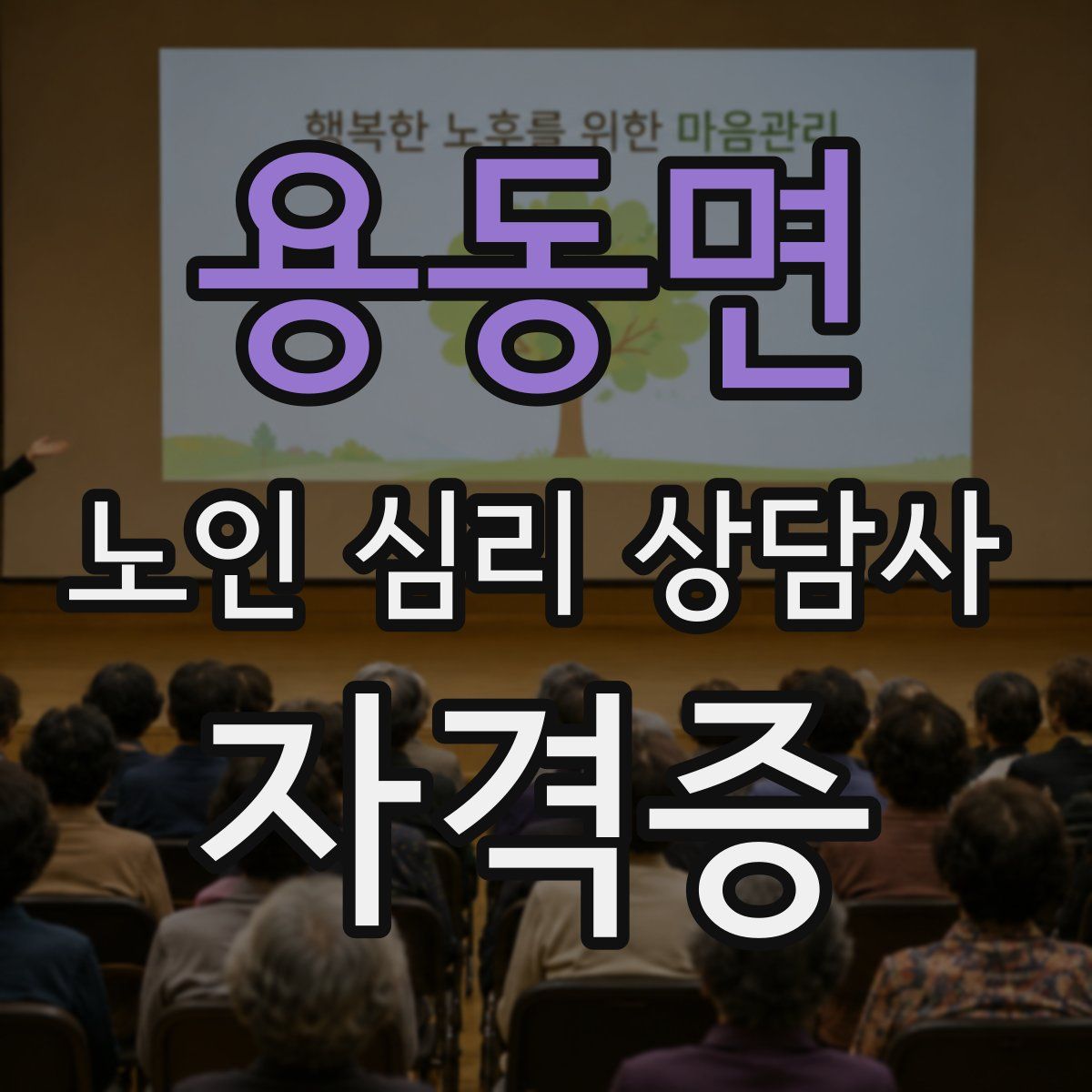 용동면 노인 심리 상담사 자격증