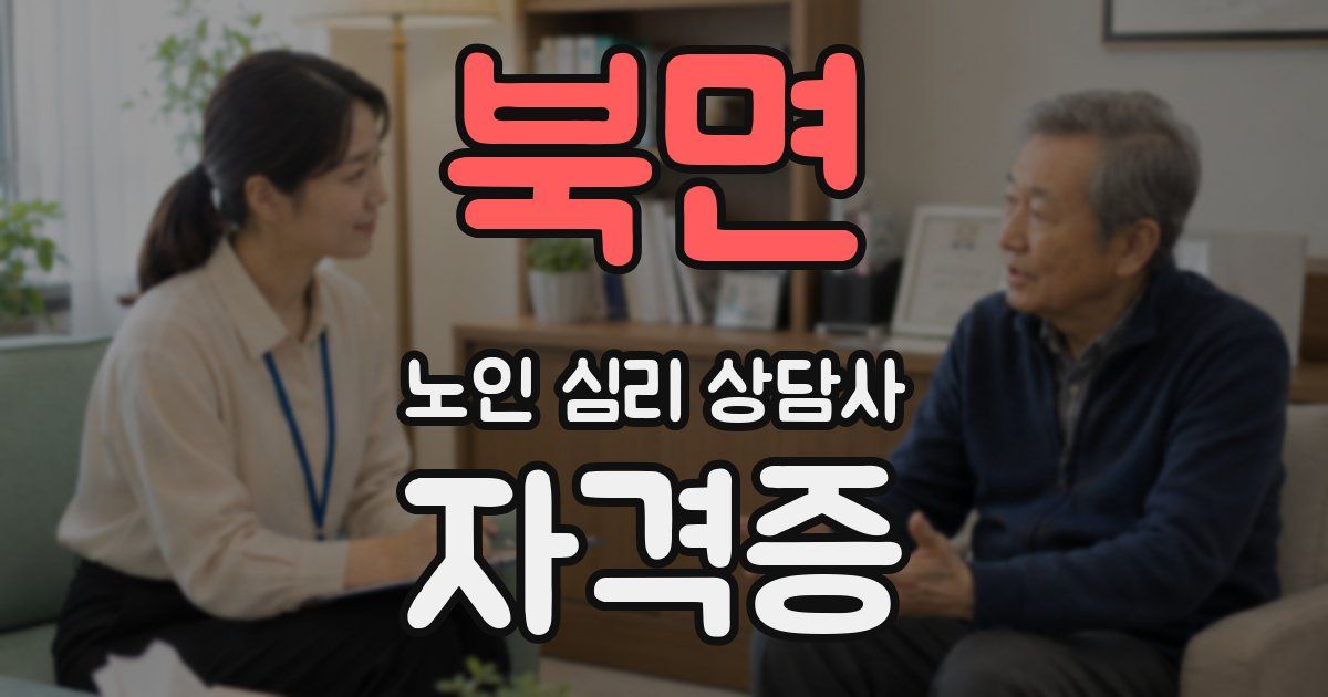 북면 노인 심리 상담사 자격증