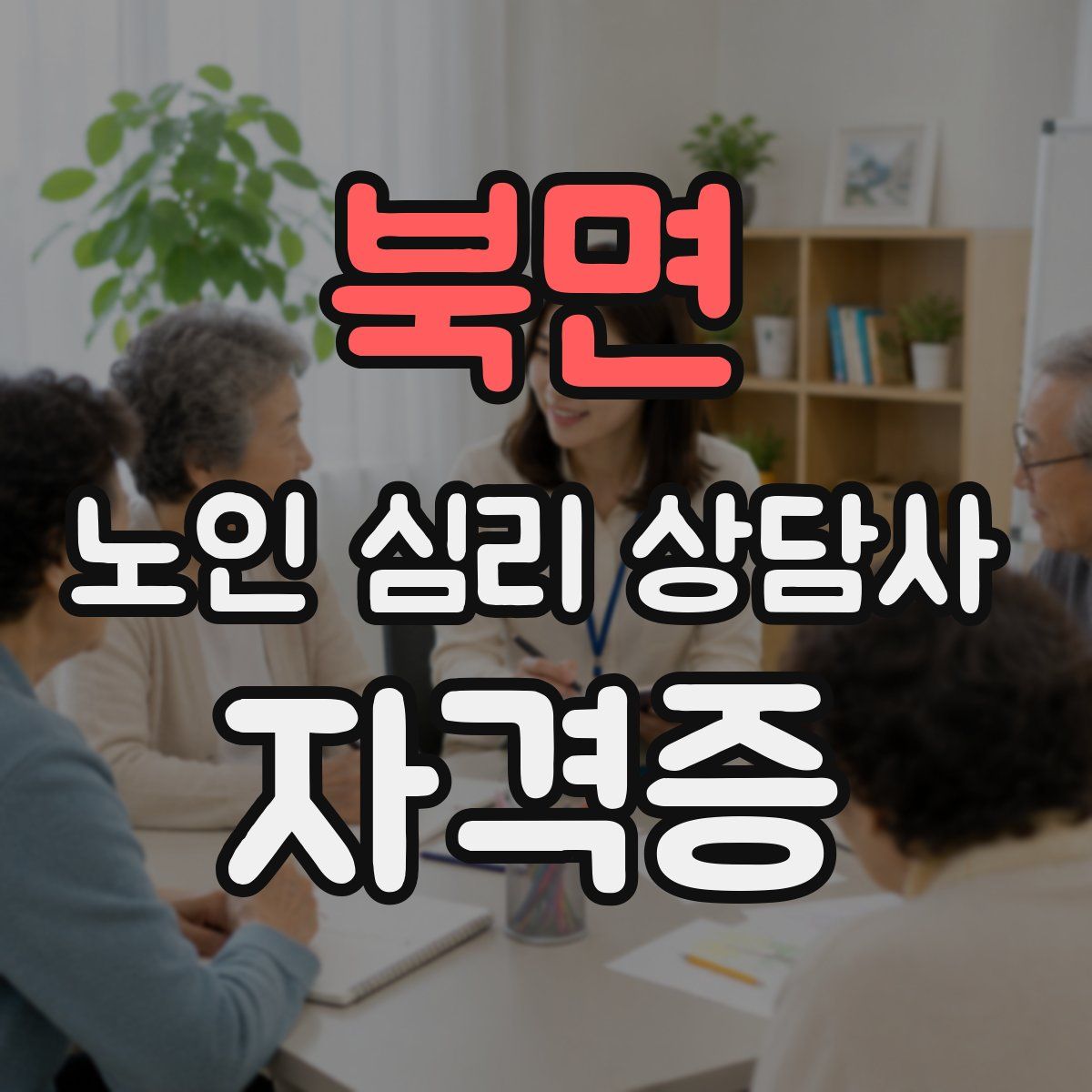 북면 노인 심리 상담사 자격증