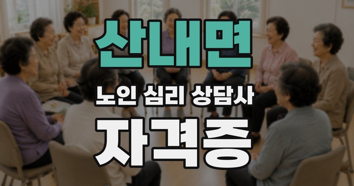 산내면 노인 심리 상담사 자격증