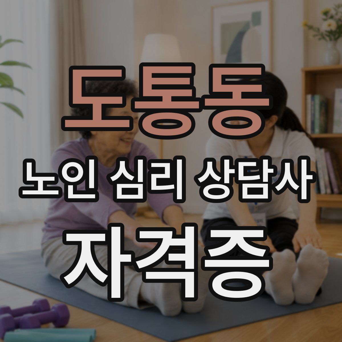 도통동 노인 심리 상담사 자격증