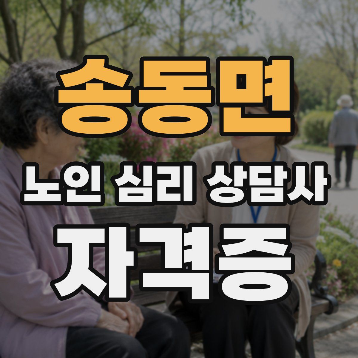 송동면 노인 심리 상담사 자격증