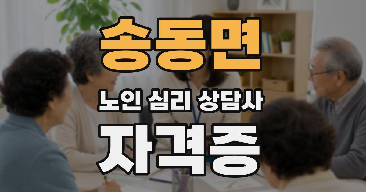 송동면 노인 심리 상담사 자격증