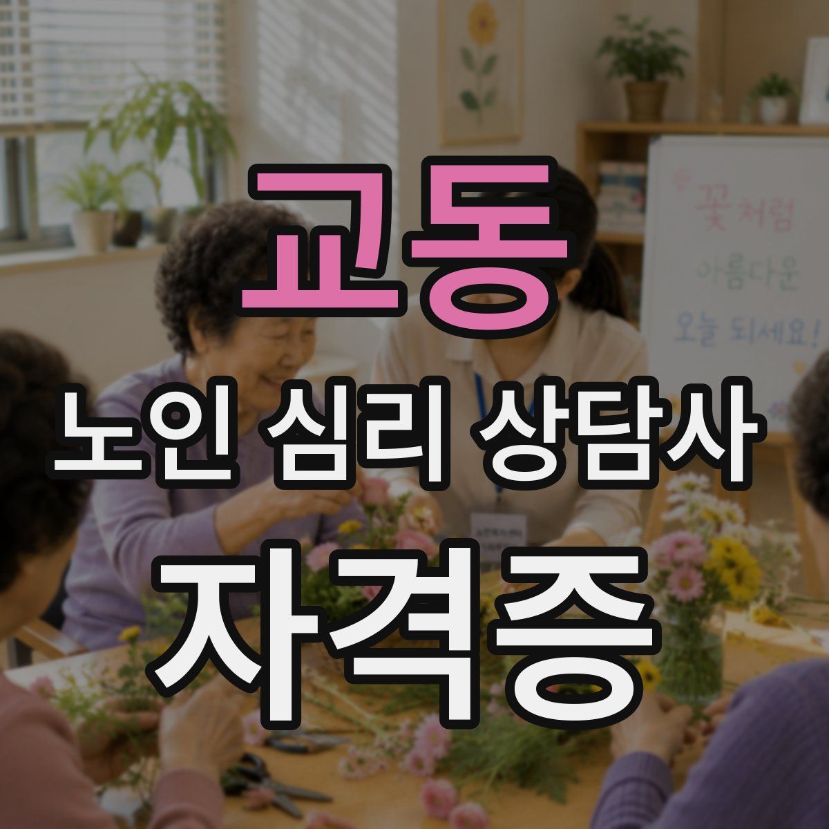 교동 노인 심리 상담사 자격증