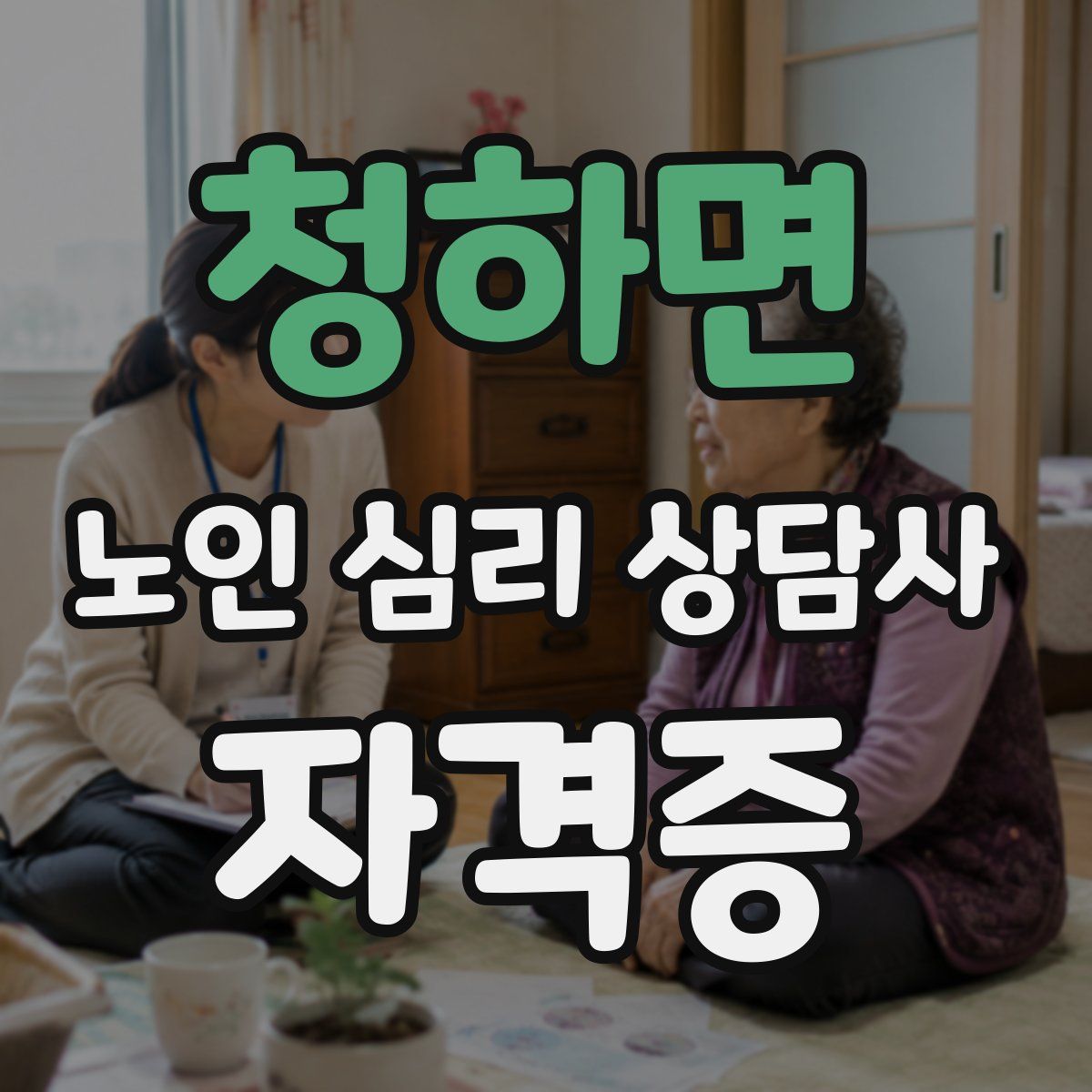 청하면 노인 심리 상담사 자격증
