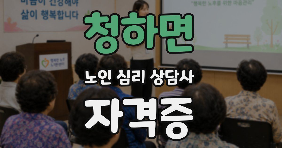 청하면 노인 심리 상담사 자격증