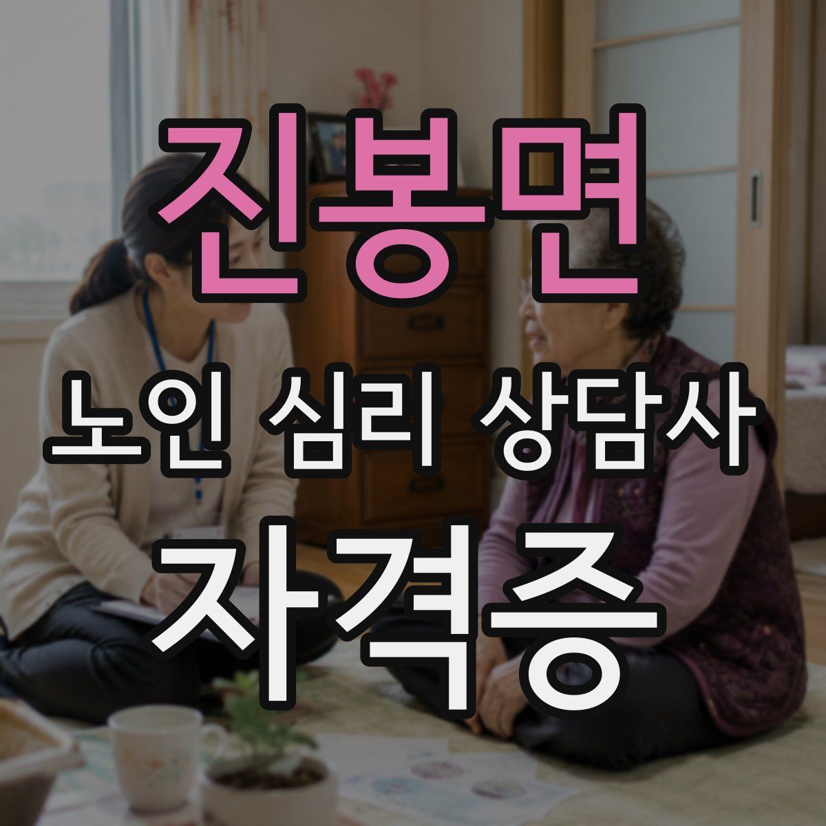 진봉면 노인 심리 상담사 자격증