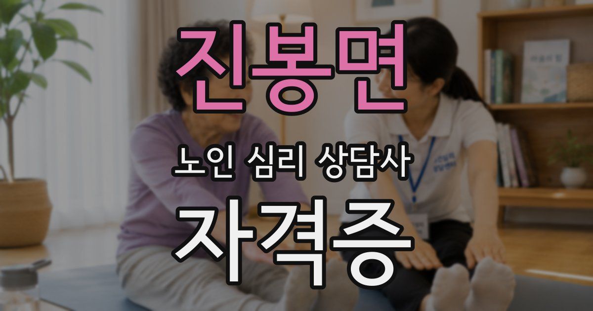 진봉면 노인 심리 상담사 자격증