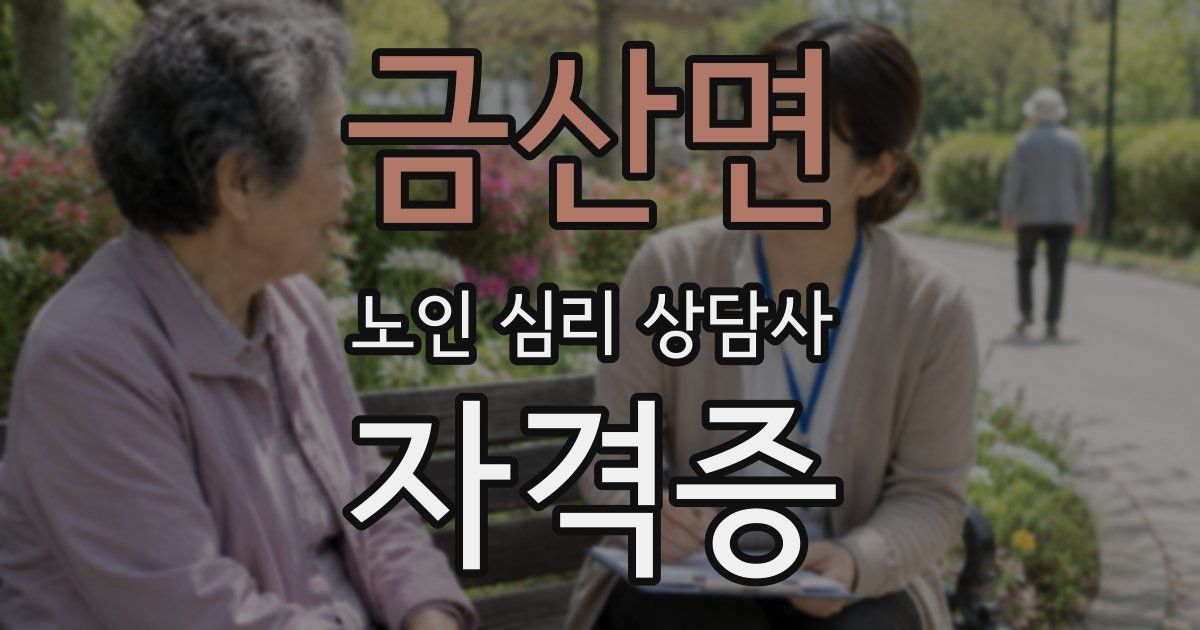 금산면 노인 심리 상담사 자격증