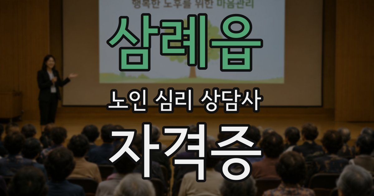 삼례읍 노인 심리 상담사 자격증