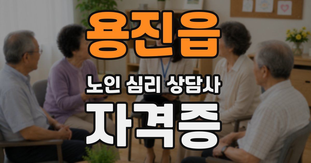 용진읍 노인 심리 상담사 자격증